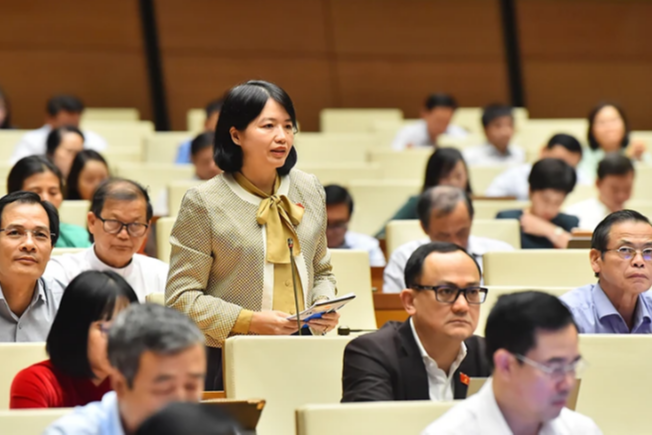 Đại biểu phát biểu tại kỳ họp Quốc hội. (Ảnh minh hoạ. Nguồn: vnlaw.moj.gov.vn)