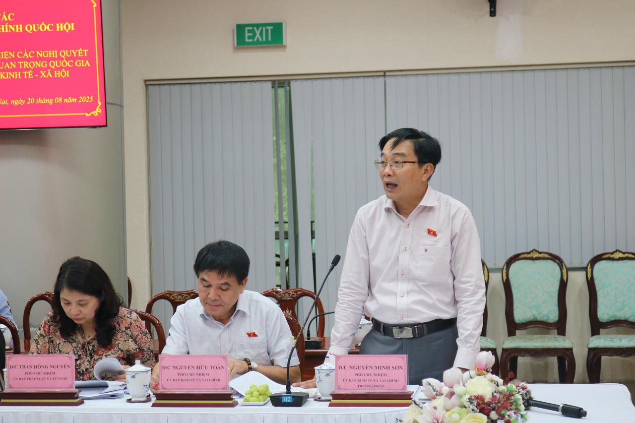 Phó Chủ nhiệm Ủy ban Kinh tế và Tài chính Nguyễn Minh Sơn phát biểu tại buổi làm việc.