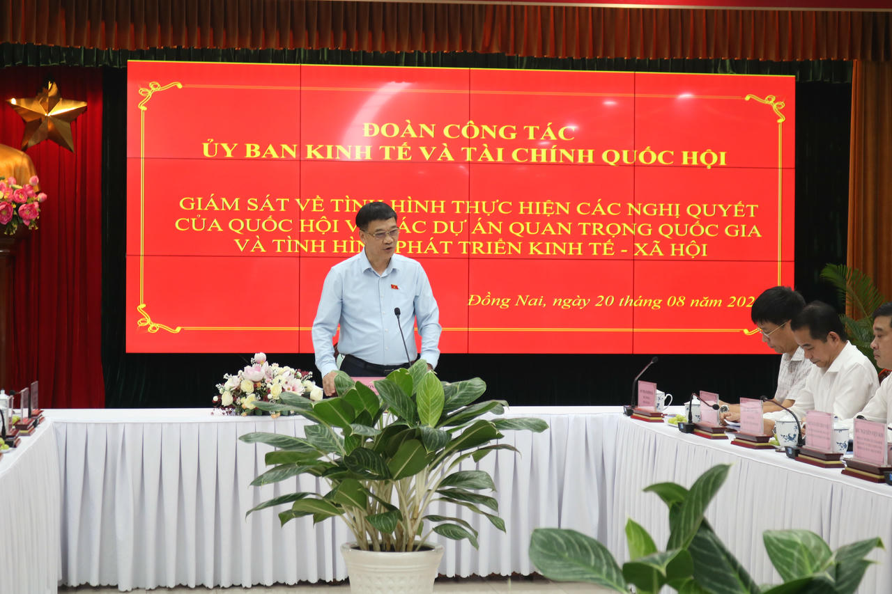 Phó Chủ tịch Quốc hội Vũ Hồng Thanh phát biểu chỉ đạo tại buổi làm việc