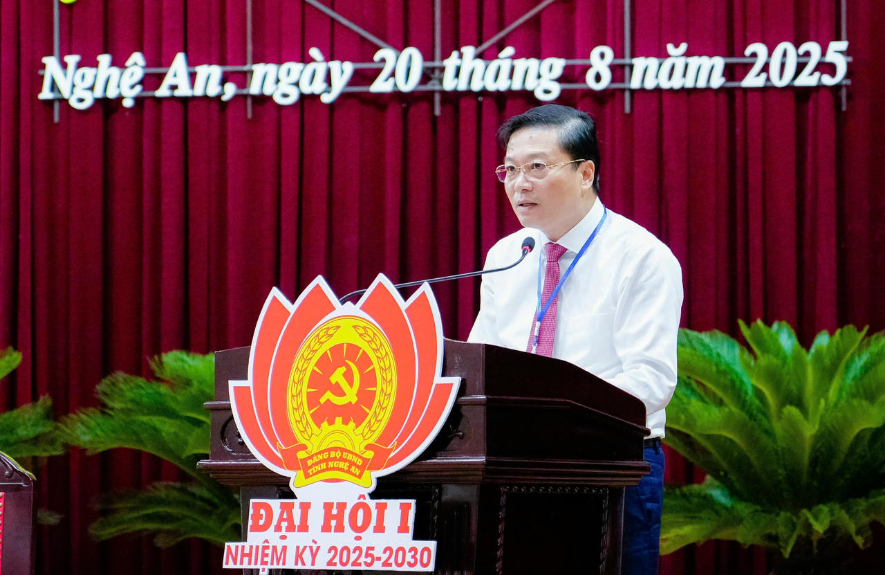 Bí thư Đảng ủy UBND tỉnh, Chủ tịch UBND tỉnh Lê Hồng Vinh phát biểu tại Đại hội.