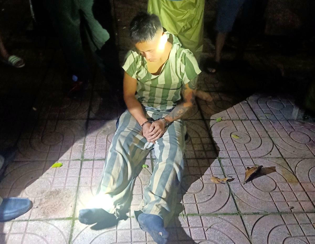 Bắt giữ phạm nhân trốn trại ẩn mình trên cây rừng