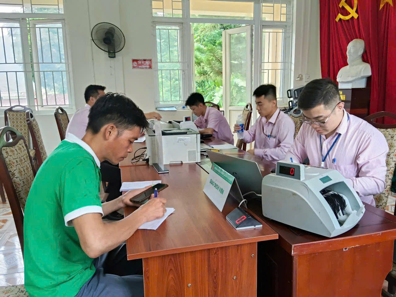 Nông thôn Quỳnh Lưu và các điểm giao dịch của NHCSXH Quỳnh Lưu tích cực phục vụ nhân dân vay  vốn phát triển sản xuất kinh doanh.