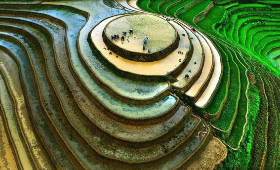 Tự hào 'Made in Vietnam'!