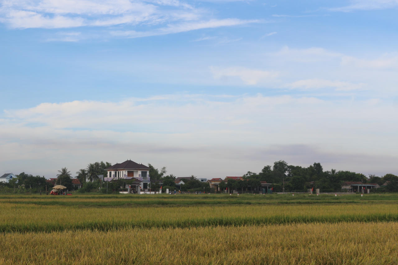 Người dân thôn Tân Đức, xã Nam Ba Đồn tranh thủ thời tiết nắng ráo thu hoạch lúa Hè - Thu trước khi bão số 5 đổ bộ.