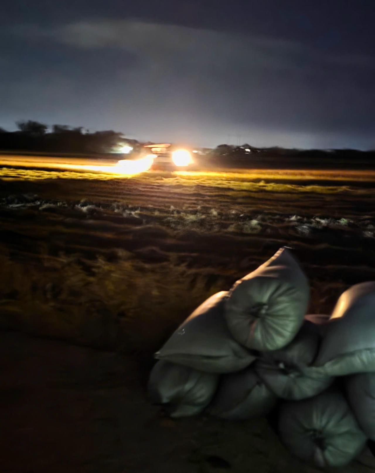 Máy gặt đập liên hợp hoạt động hết công suất trên cánh đồng Nam Hải Lăng trong đêm 23/8.