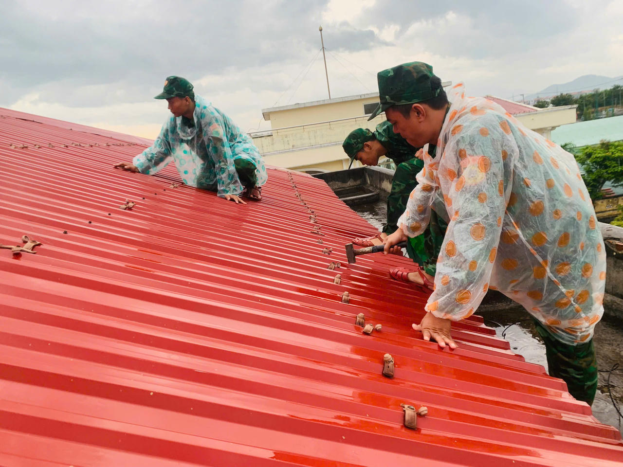Gia cố mái tôn trước khi bão đổ bộ.