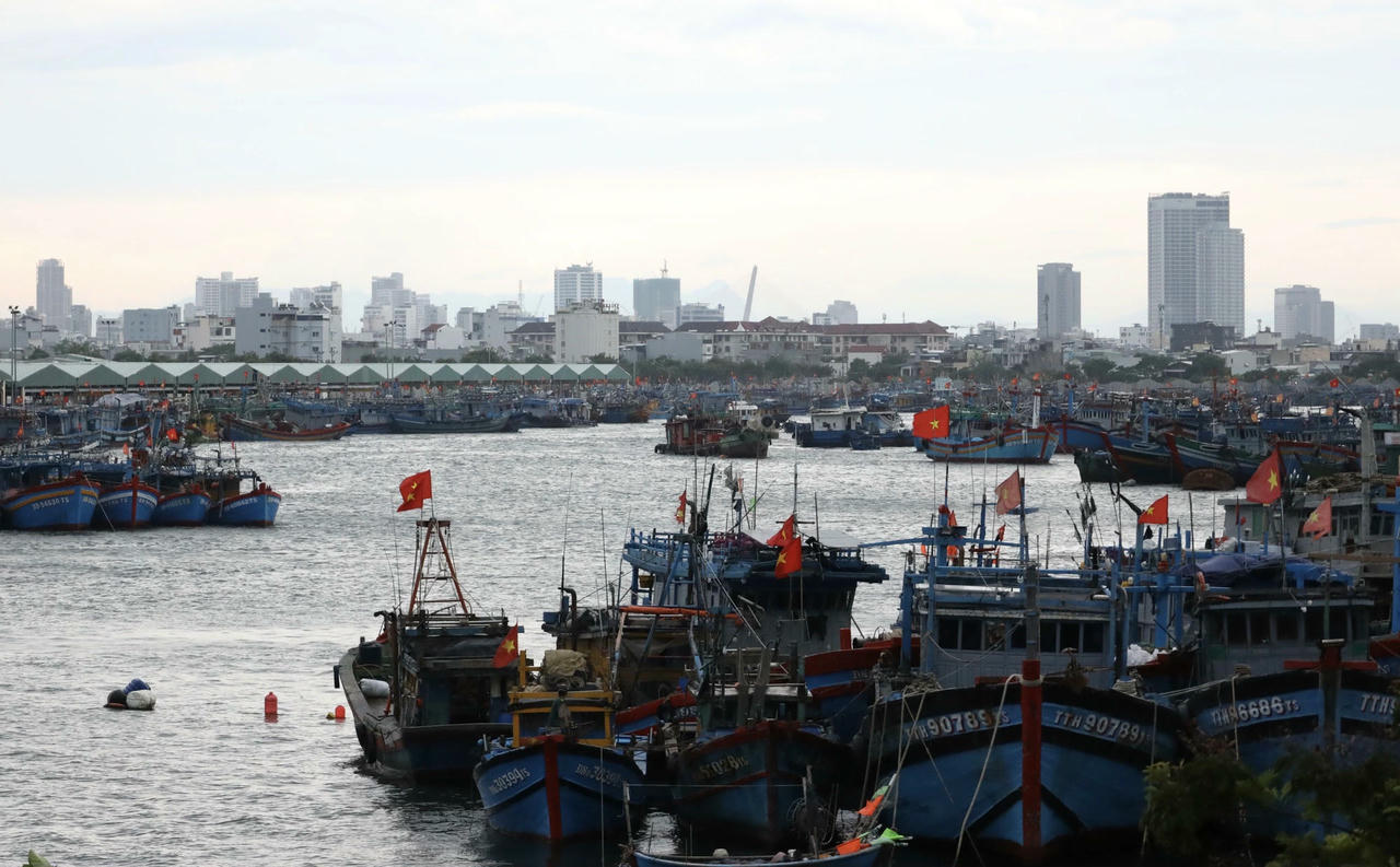 Đến sáng 24/8, chính quyền TP Đà Nẵng đã kêu gọi hơn 1.200 tàu cá với khoảng 7.000 lao động vào bờ an toàn.