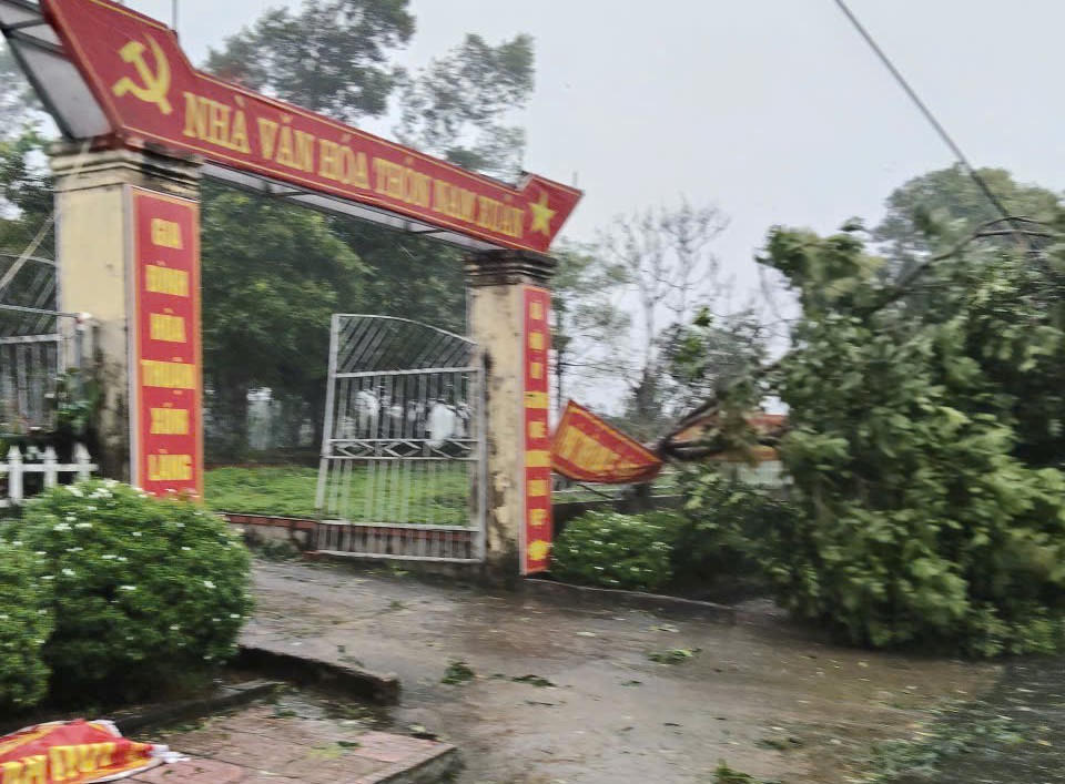 Cây bị gãy đổ ngổn ngang ở xã Kỳ Văn. Ảnh: Dương Trang