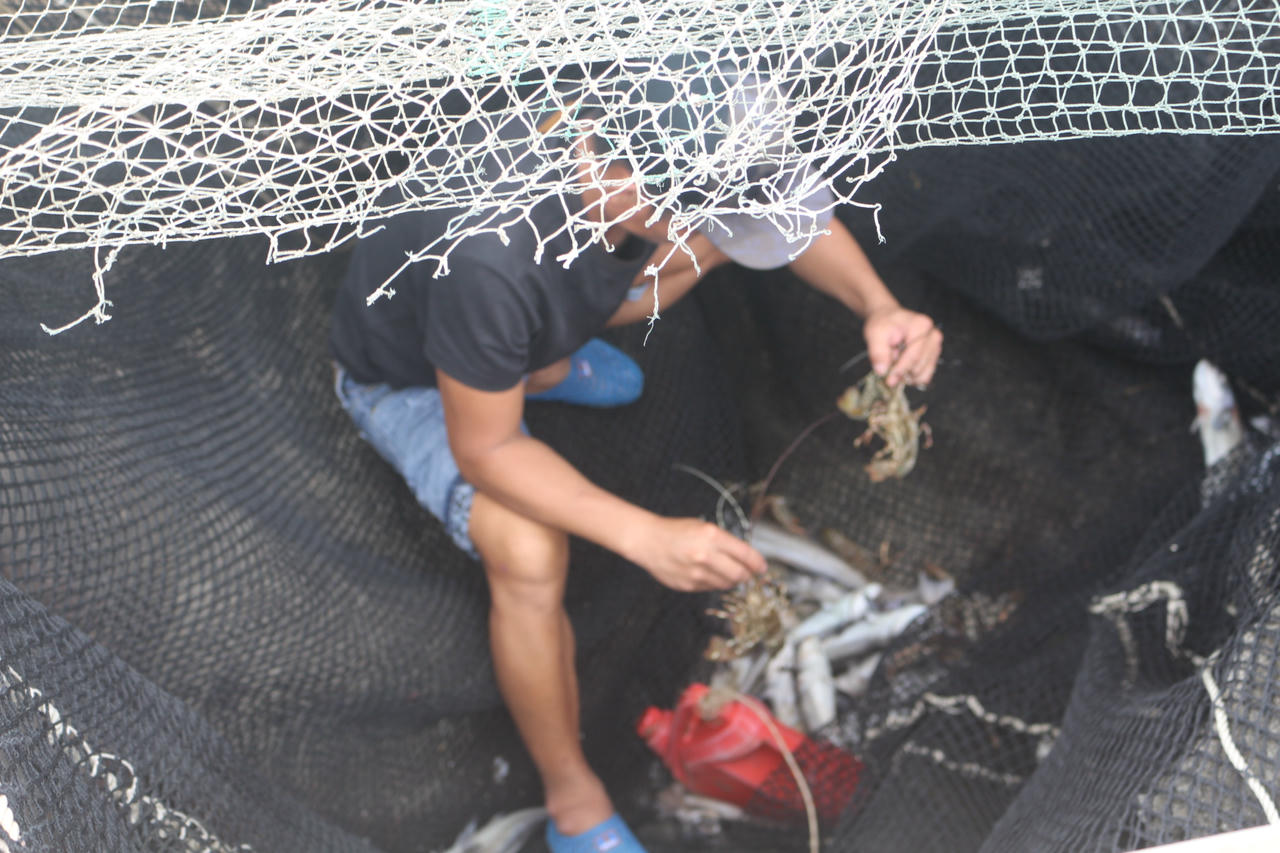 Những gì còn sót lại sau khi lồng bè cá bị sóng đánh bật neo, trôi dạt vào các ghềnh đá.