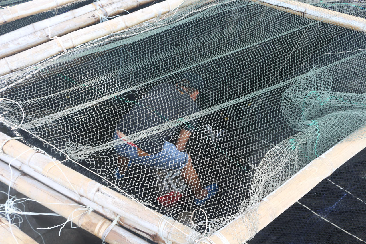 Cố cứu vớt những gì còn sót lại sau bão.