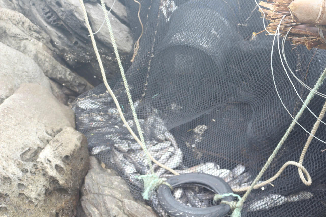 Chùm ảnh: Lồng bè cá tan hoang trên ghềnh đá sau bão số 5, cảnh tượng xót xa ở Quảng Trị