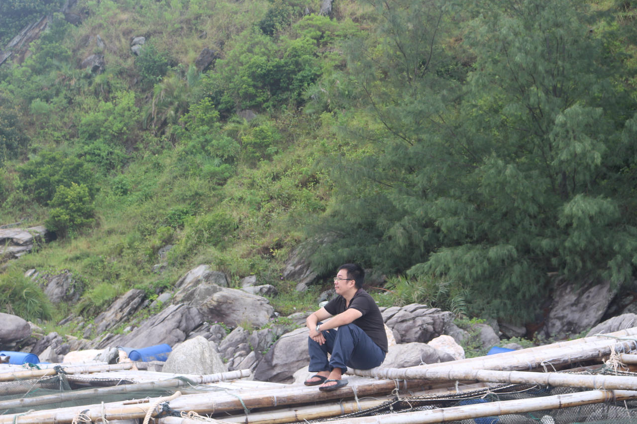 Hình ảnh xót xa: Thất thần nhìn lồng bè cá ngổn ngang trên ghềnh đá sau bão số 5.