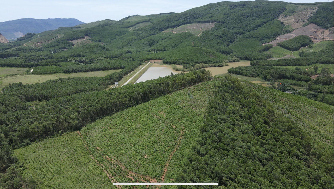 Khu rừng của người nông dân Việt Nam đã đưa lại những nguồn lợi đầu tiên khi xuất khẩu carbon ra thị trường.