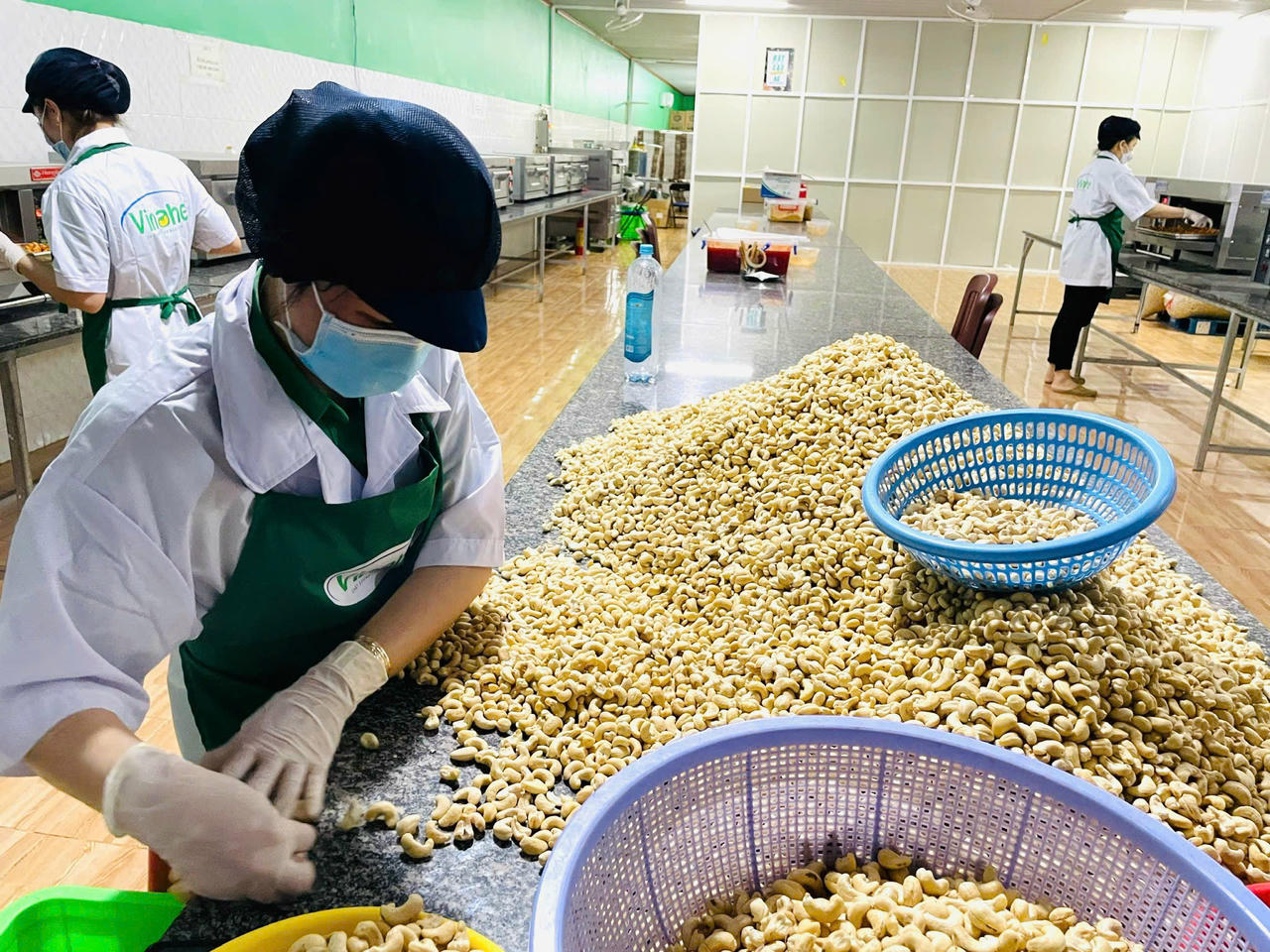 Bình Phước cũ có hơn 148 ngàn hécta điều, đóng góp gần 50% sản lượng xuất khẩu
của cả nước.