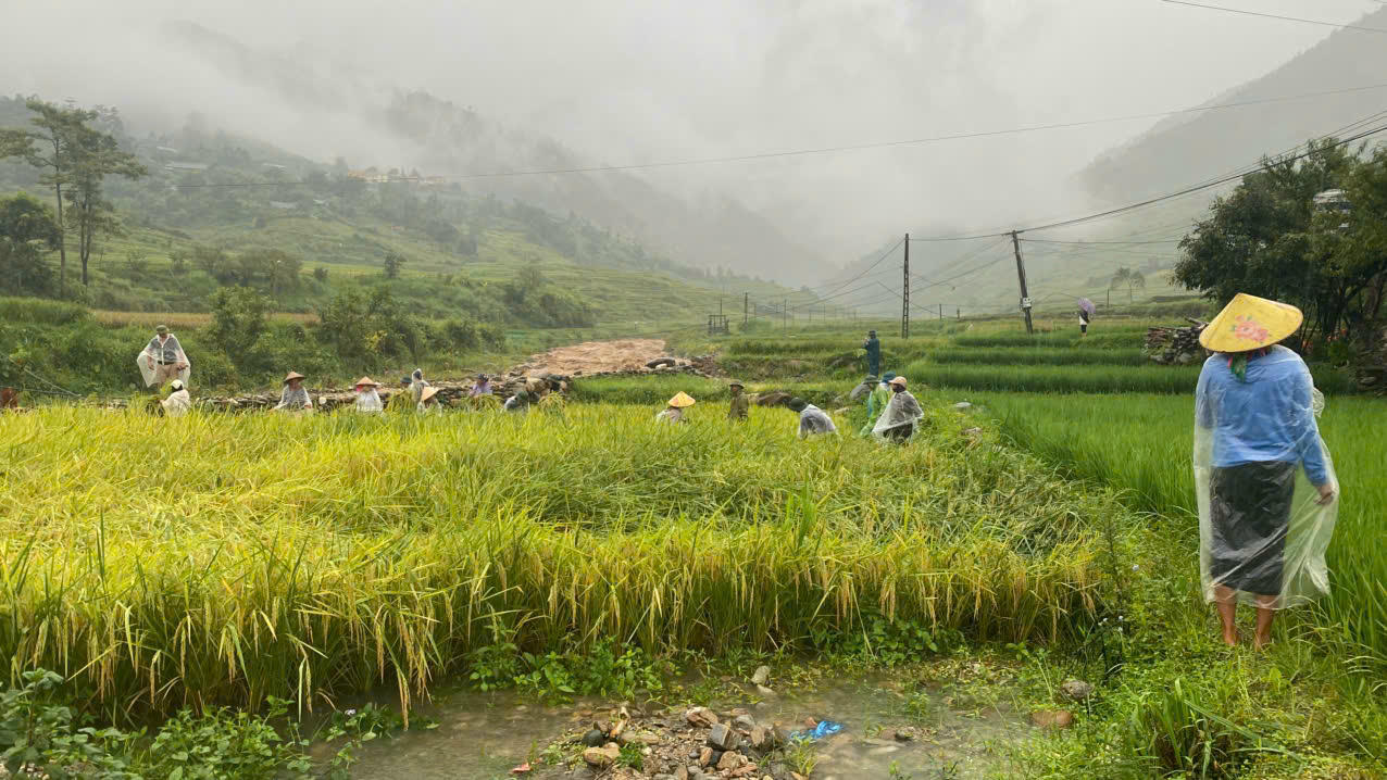 Mưa lũ cũng gây thiệt hại nặng nề về nông nghiệp trên địa bàn tỉnh.