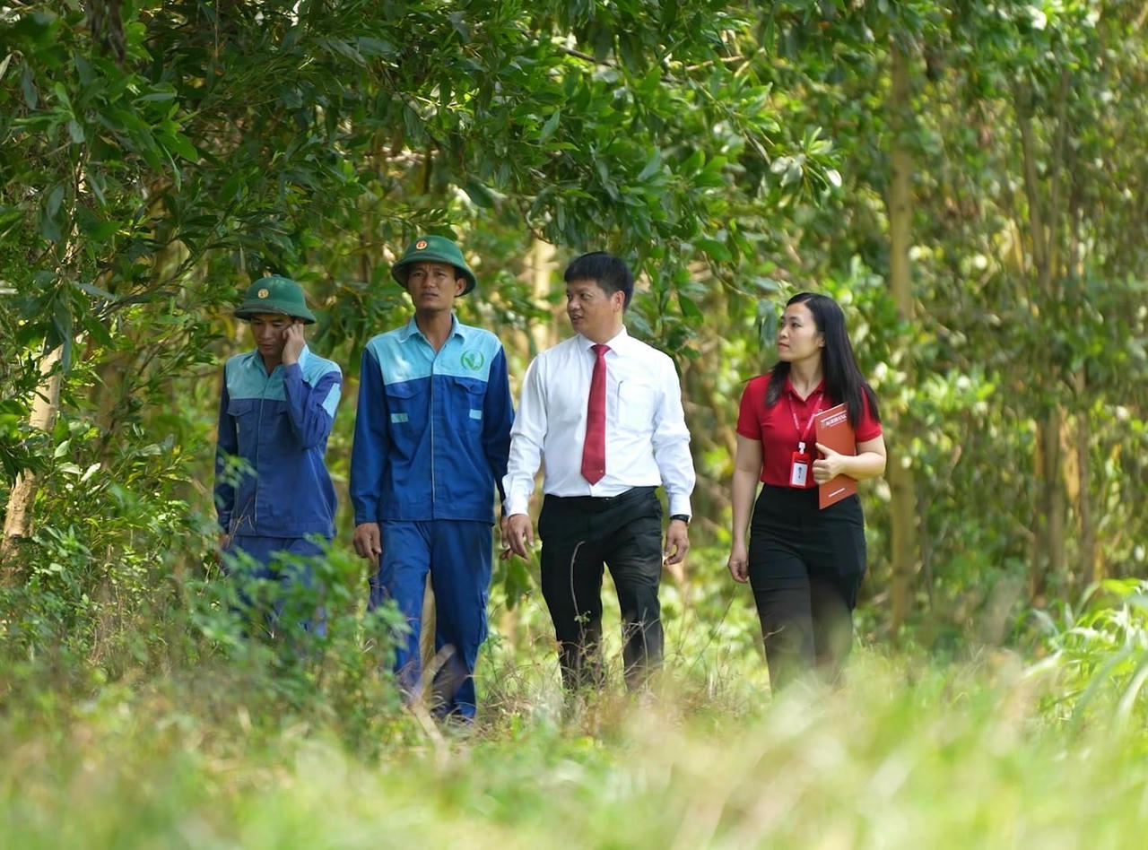 Cán bộ Agribank thẩm định dự án trồng rừng của doanh nghiệp.