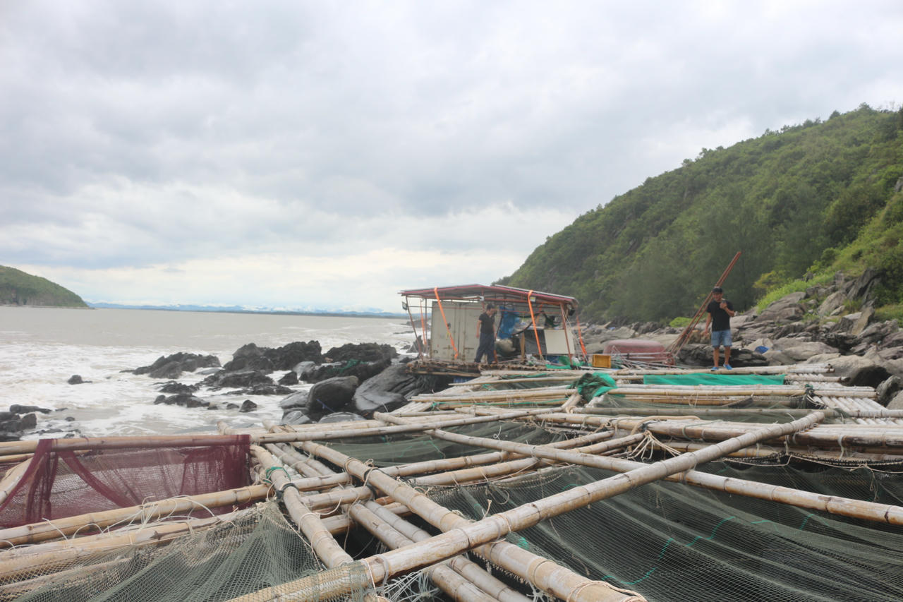 Ngư dân kiểm tra những phần còn sót lại của lồng bè sau khi bị bão số 5 đánh  dạt vào vách đá.