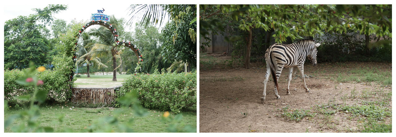 Bên cạnh công viên nước, TTC Mekong Aqua Park còn có vườn thú, các khu trò chơi dân gian và những mảng xanh đậm phong cách miệt vườn.