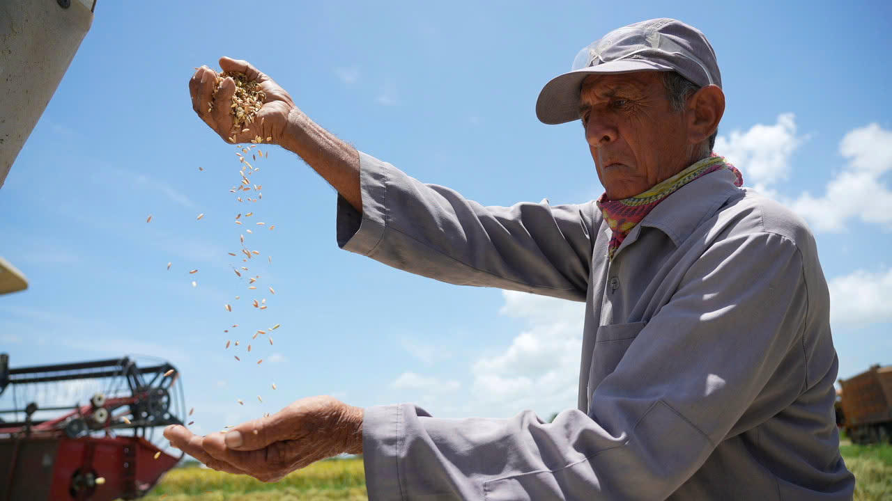 'Hạt giống hạnh phúc' lên sóng ngày 2/9 tại Việt Nam và Cuba