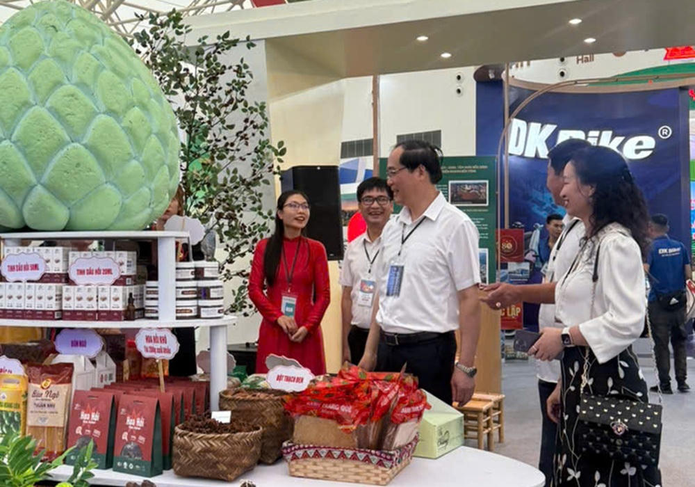 Phó Chủ tịch Thường trực UBND tỉnh Lạng Sơn Dương Xuân Huyên kiểm tra công tác trưng bày tại triển lãm.