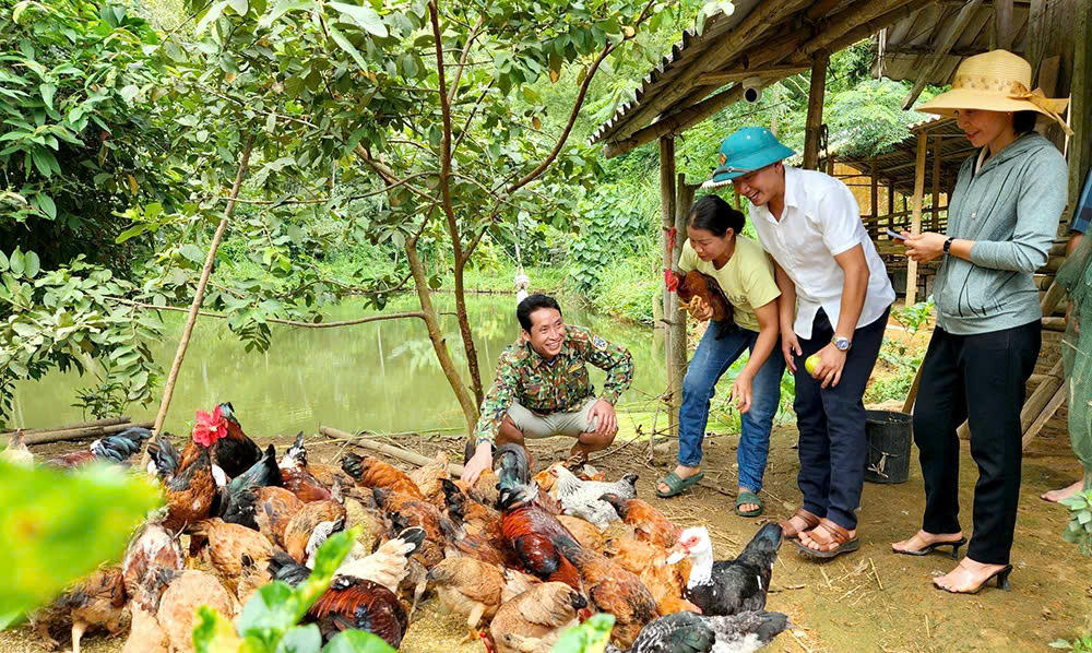 Hiệu quả đồng vốn chính sách giúp người dân Tân Sơn phát triển sản xuất nâng cao cuộc sống.