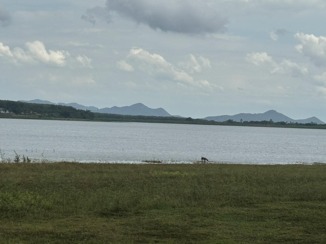 Vẻ hoang sơ của hồ Đá Bàng