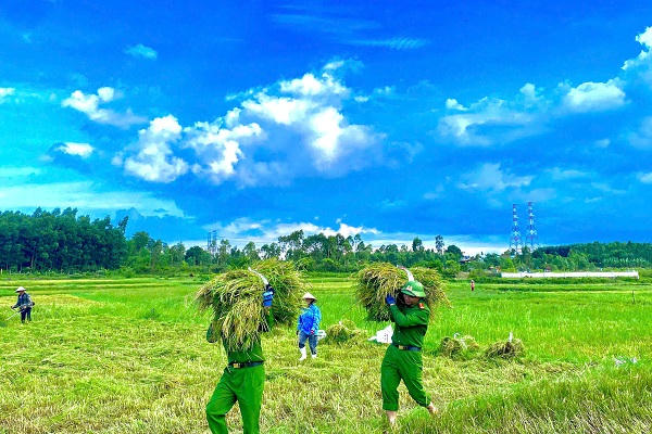 Áo xanh Công an nổi bật trên màu lúa chín giữa mùa chạy bão ở miền Trung 