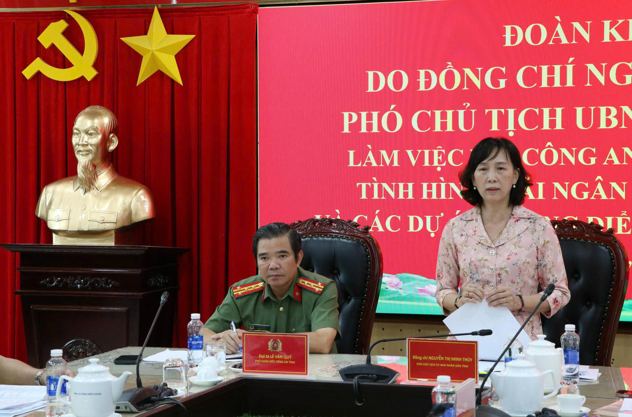 Phó Chủ tịch UBND tỉnh Nguyễn Thị Minh Thúy phát biểu chỉ đạo buổi làm việc. 