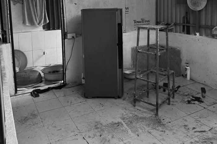 Khởi tố vụ bà nội sát hại 2 cháu trai