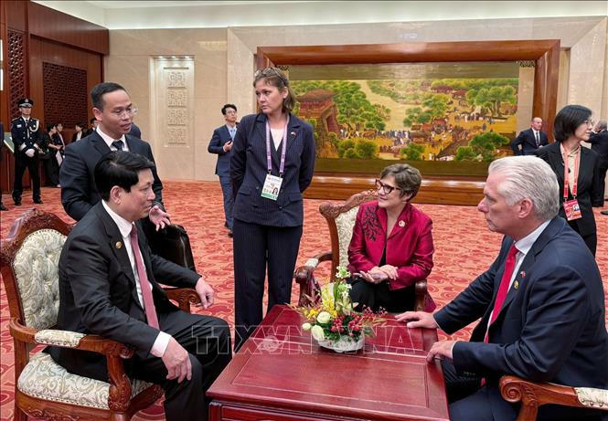 Chủ tịch nước Lương Cường gặp Bí thư Thứ nhất, Chủ tịch nước Cuba Miguel Diaz-Canel Bermudez. Ảnh: TTXVN phát