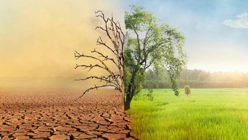 Đón nhận vô thường để sống hạnh phúc