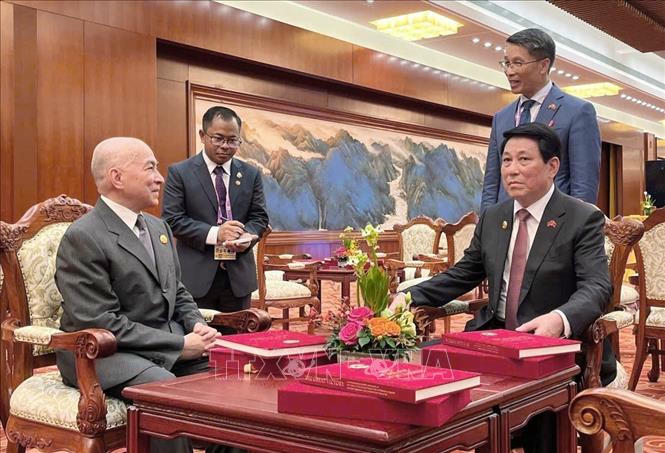 Chủ tịch nước Lương Cường gặp Quốc vương Campuchia Norodom Sihamoni. Ảnh: TTXVN phát