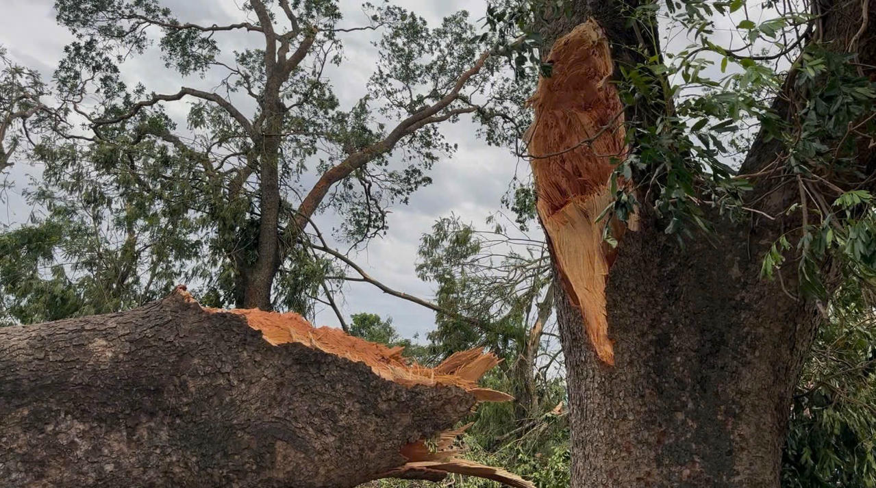 Hậu quả để sau khi Bão Yagi (2024) đi qua tại TP Hải Phòng.