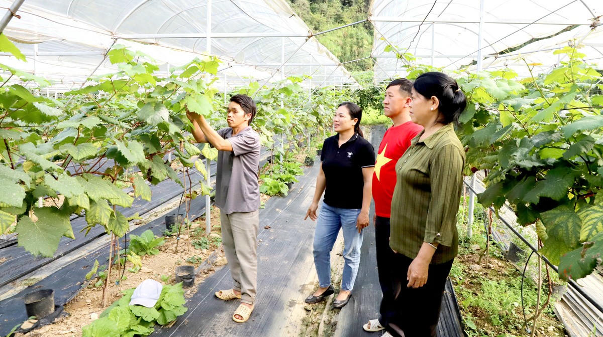 Tuyên Quang: Rà soát mức sống hộ nghèo, cận nghèo