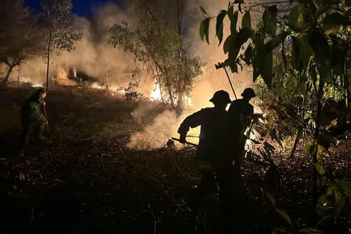 Đốt thực bì gây cháy rừng, một người ở TP Huế tử vong