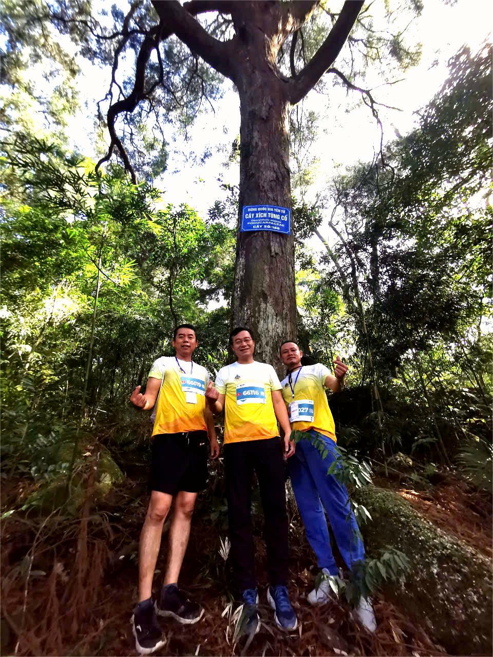 Giải chạy được tổ chức nhằm chào mừng sự kiện quan trọng khi quần thể Yên Tử – Vĩnh Nghiêm – Côn Sơn, Kiếp Bạc vừa vinh dự được UNESCO công nhận là Di sản văn hóa thế giới