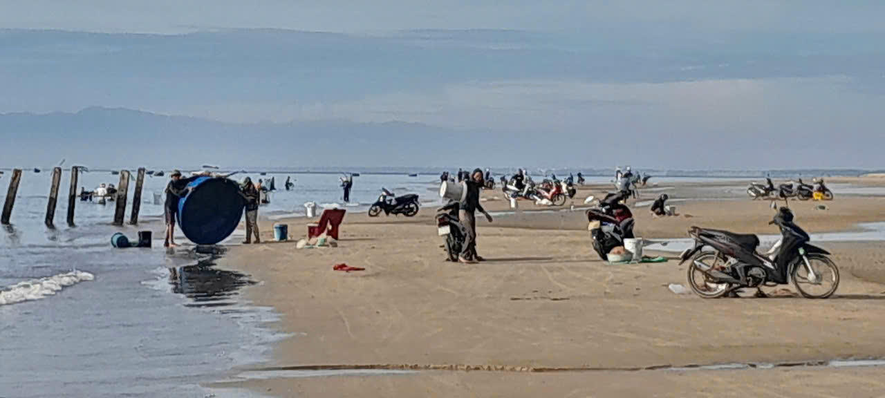 Xe thồ, thúng, tấp nập đưa ruốc từ biển về sau thành quả lao động.