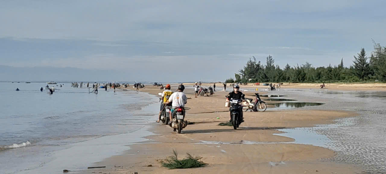 Không khí tấp nập trên bãi biển sau những mẻ lưới đầy ắp ruốc.