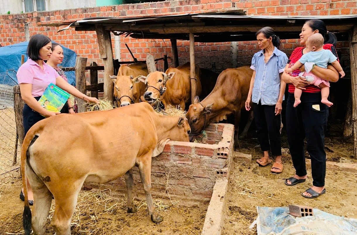 Vốn tín dụng chính sách được người dân Ayun Pa đầu tư phát triển chăn nuôi.