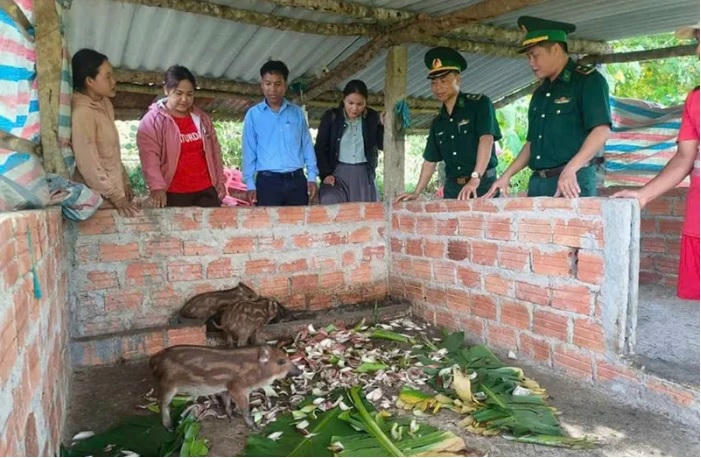 Bộ đội Biên phòng Quảng Trị hỗ trợ nhiều mô hình sinh kế hiệu quả giúp bà con (Ảnh: Bộ KH&CN)