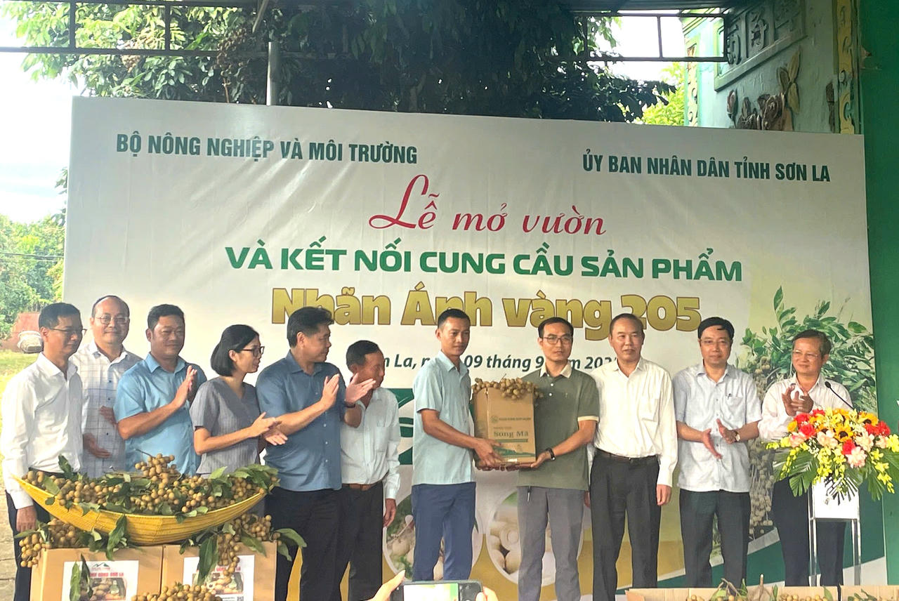 Hội nghị phát triển chuỗi giá trị nhãn Ánh vàng 205 tại Sơn La 
