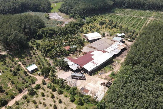 Kiểm tra, lập biên bản một số xưởng cao su tự phát tại tỉnh Quảng Ngãi