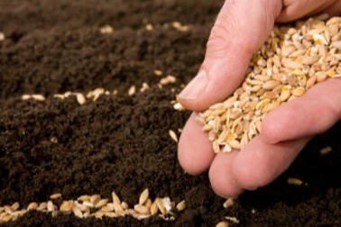 Ánh sáng níu giữ con người