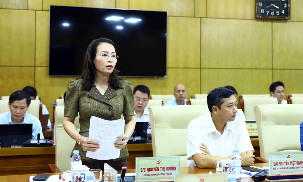 Phó Bí thư Thường trực Tỉnh ủy Nguyễn Thị Hương phát biểu tại hội nghị.