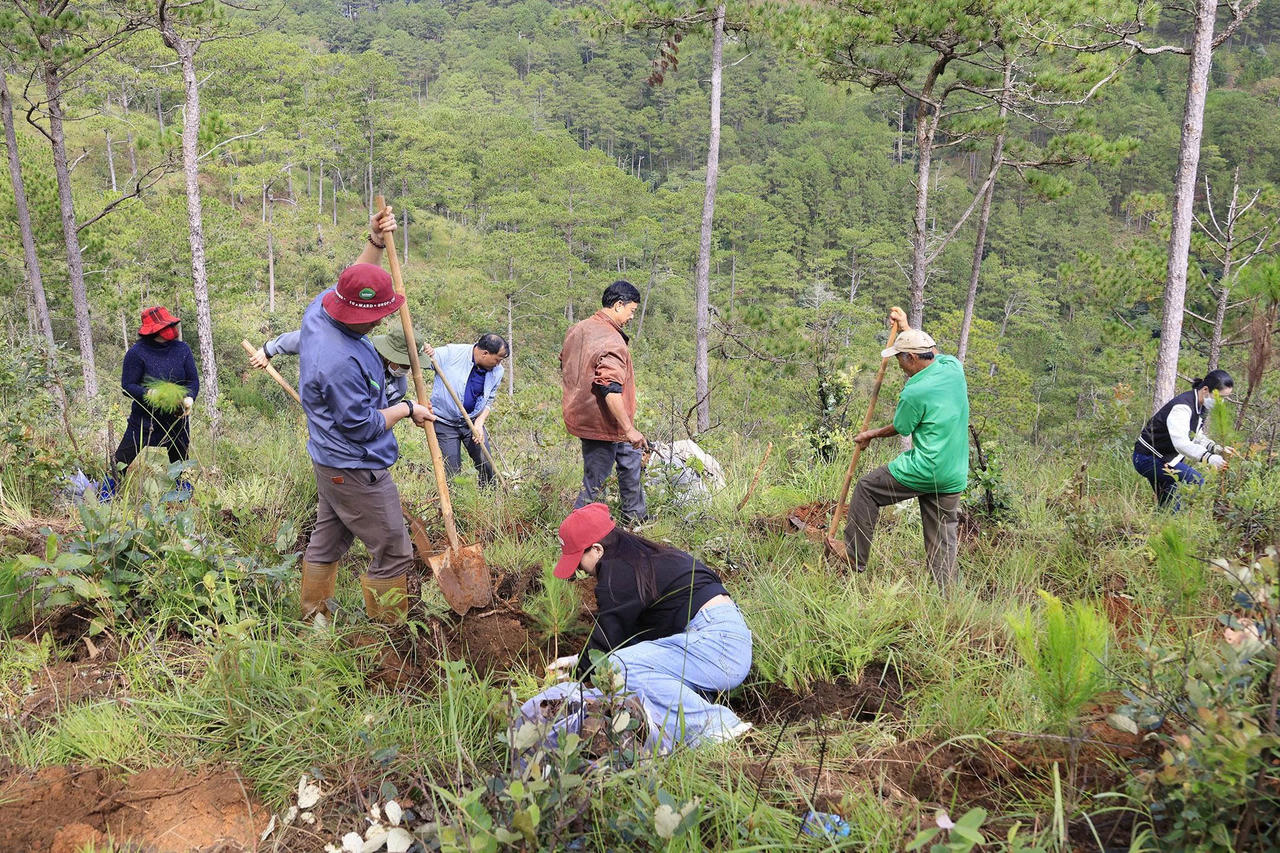 Người dân hăng hái trồng cây xanh che phủ đất trống đồi trọc.