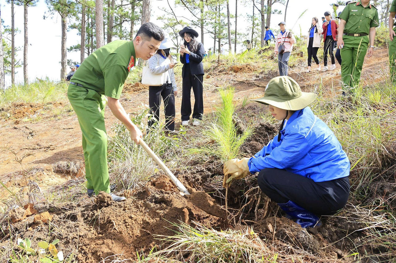 Mỗi cây xanh được trồng xuống là một niềm vui.