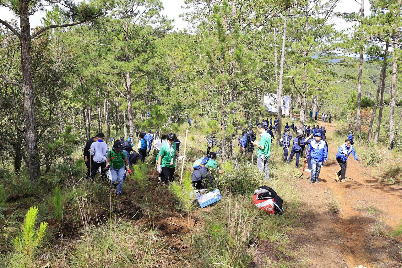 Lê ra quân trồng cây xanh của phường Lâm Viên - Đà Lạt thu hút đông đảo cán bộ, nhân viên, sinh viên và người dân tham gia.