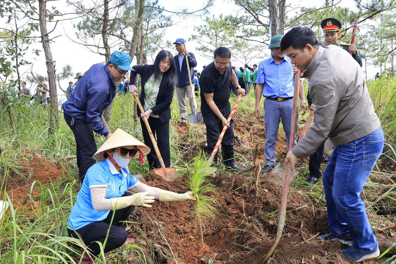 Phường Lâm Viên - Đà Lạt: Phát động trồng 68.000 cây xanh và hoa, hướng tới đô thị xanh - sạch - đẹp