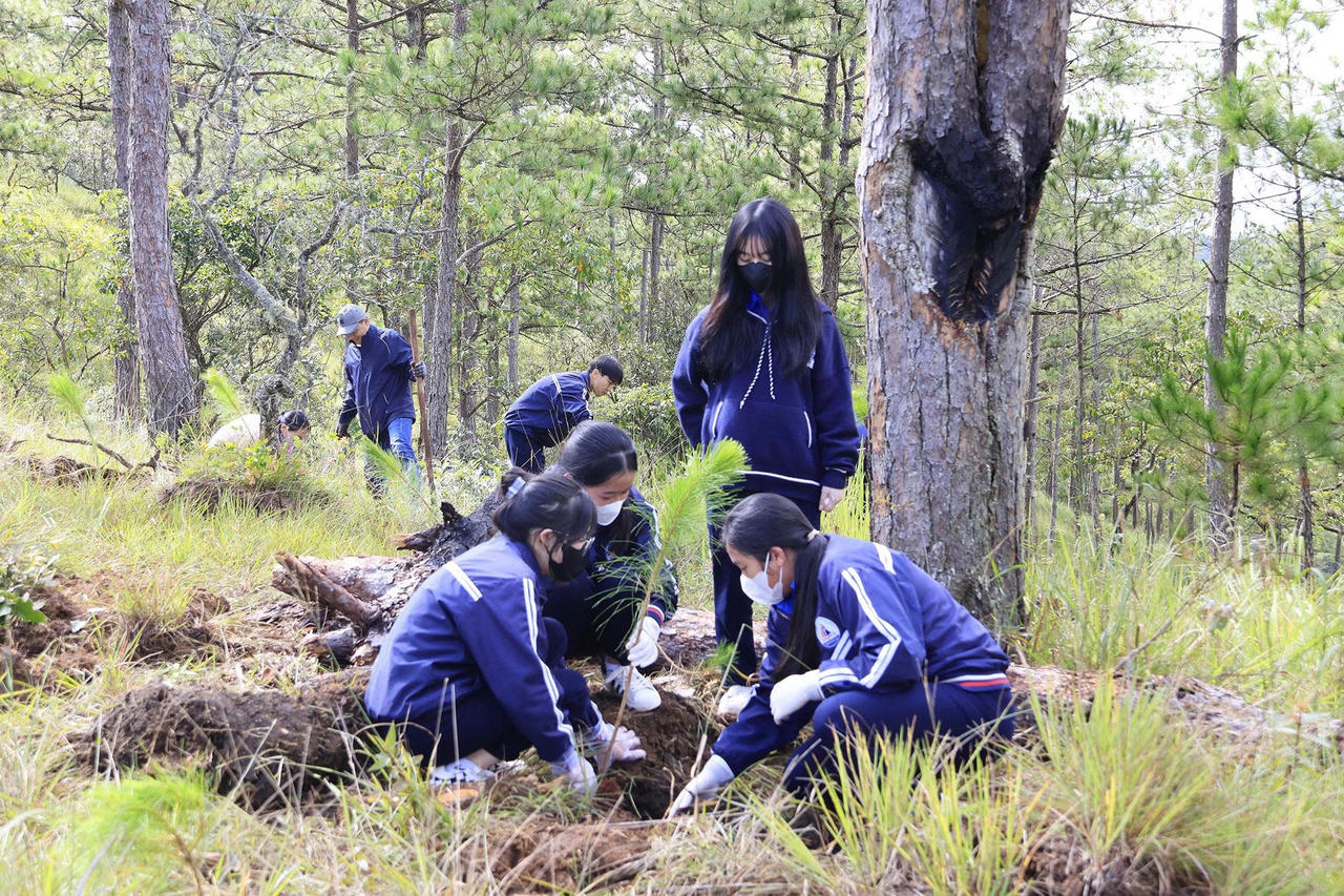 Trồng cây là dịp để khơi dậy tinh thần đoàn kết, trách nhiệm của toàn dân trong việc bảo vệ môi trường.