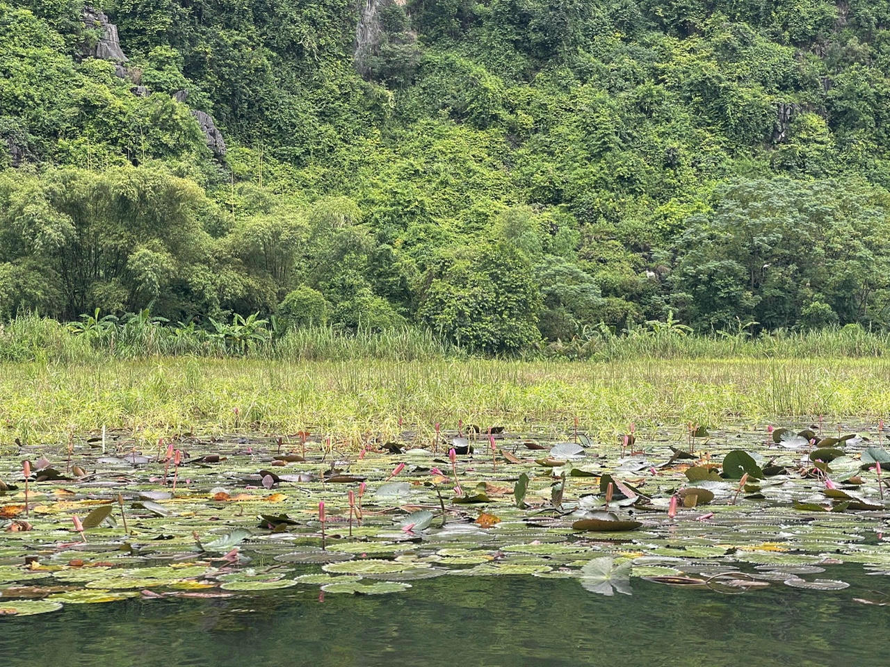Tam Cốc - Bích Động: vẻ đẹp rất riêng không thể bỏ lỡ khi tới Ninh Bình